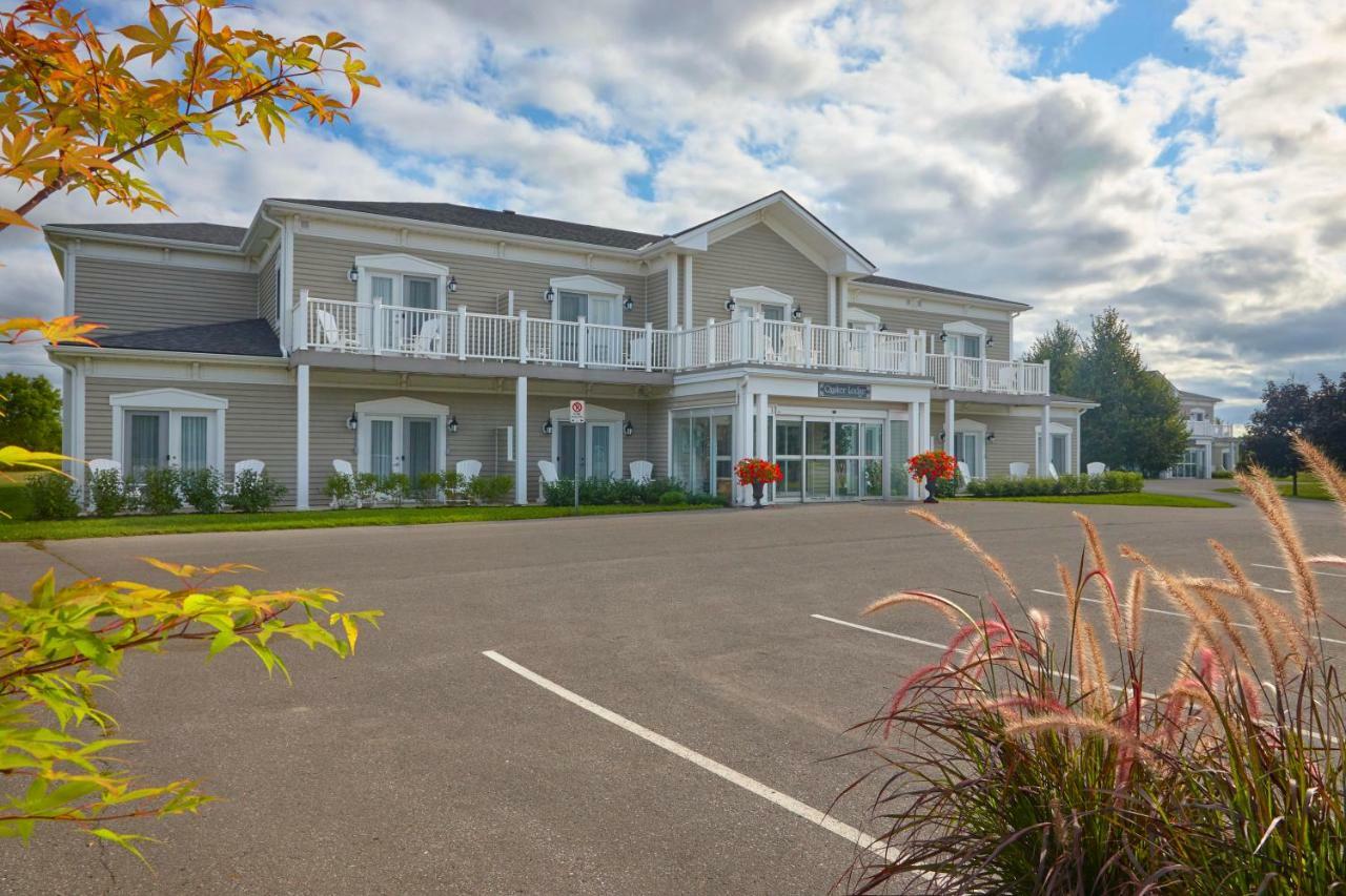 The Waring House Hotel Picton Exterior foto